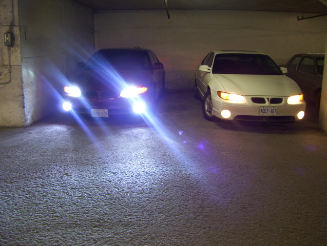 HID Lights vs Halogens